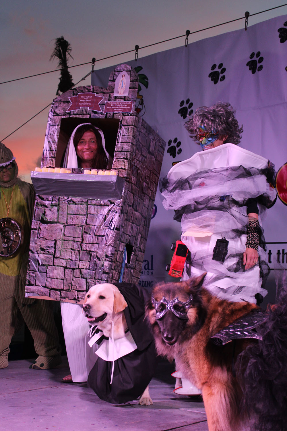 Pet Masquerade 2017 photo - Duval Street, Key West